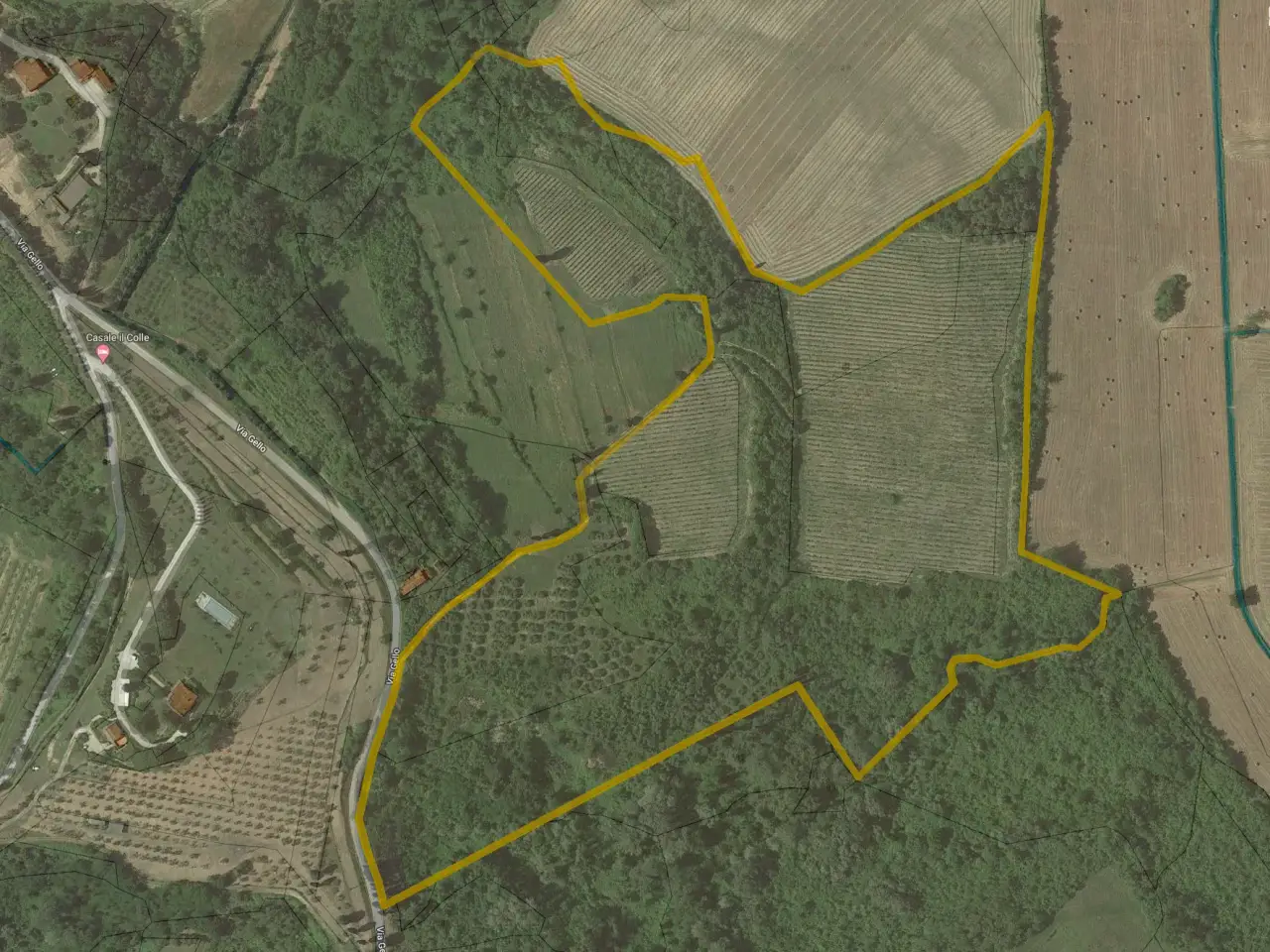 Azienda agricola in , San Miniato, {3} - Planimetria 1
