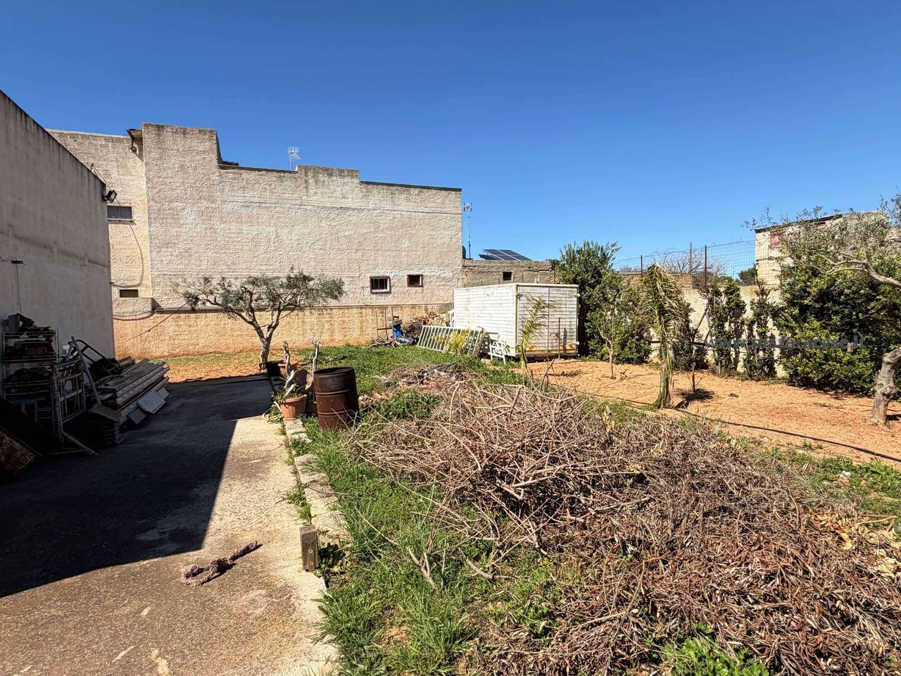 immagine annuncio 1 di 14