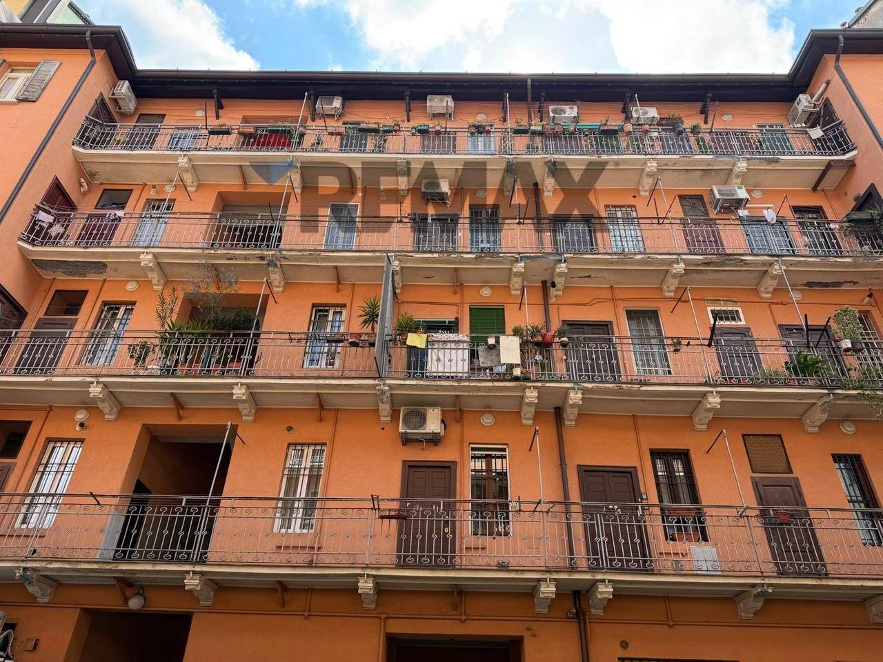 immagine annuncio 1 di 12
