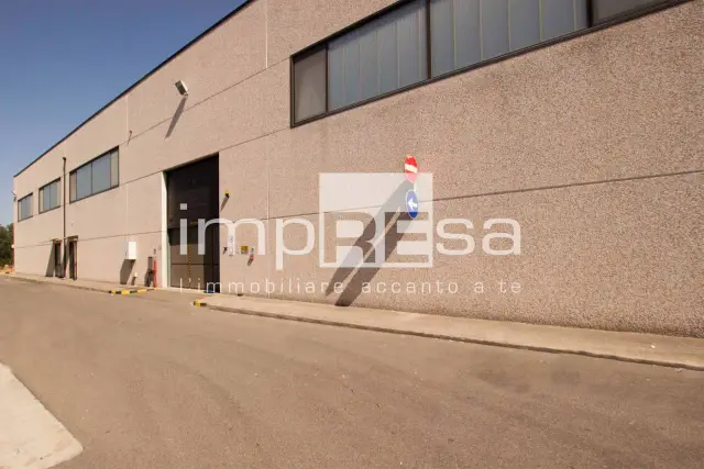 insertion image