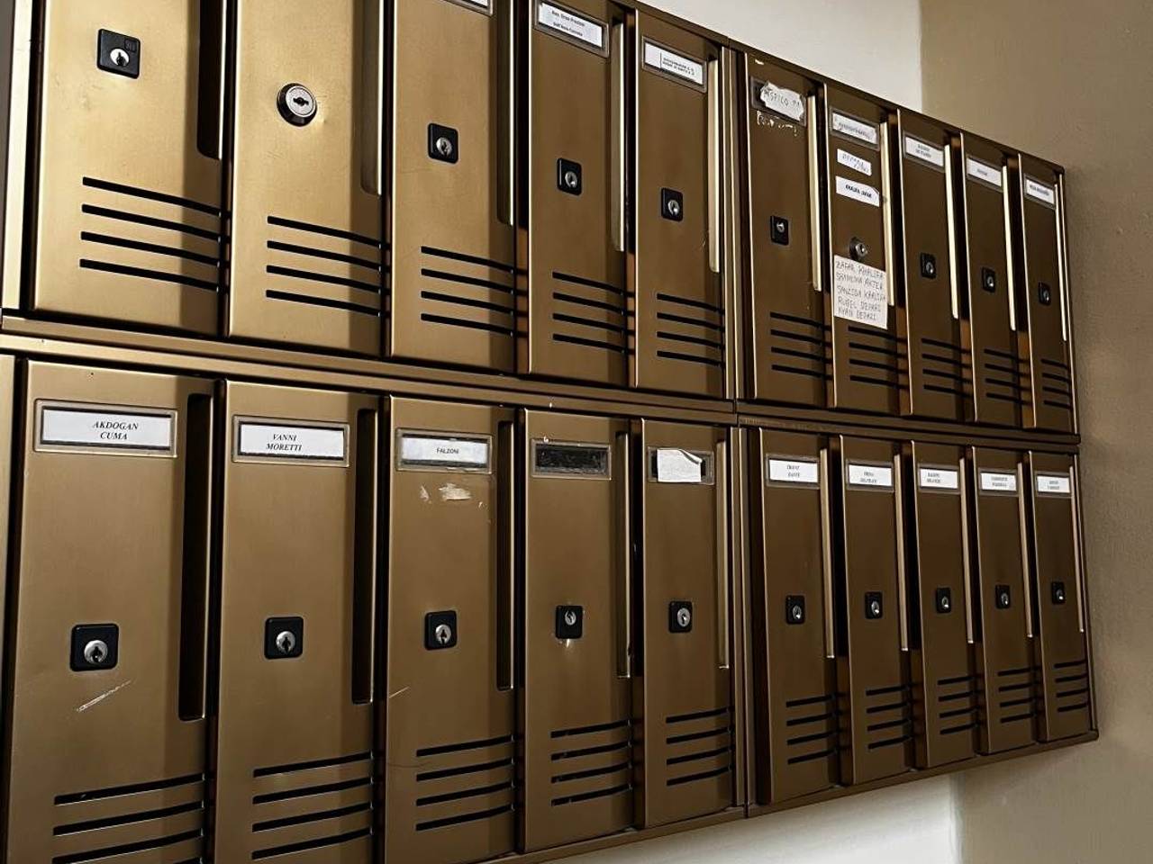 immagine annuncio 11 di 15