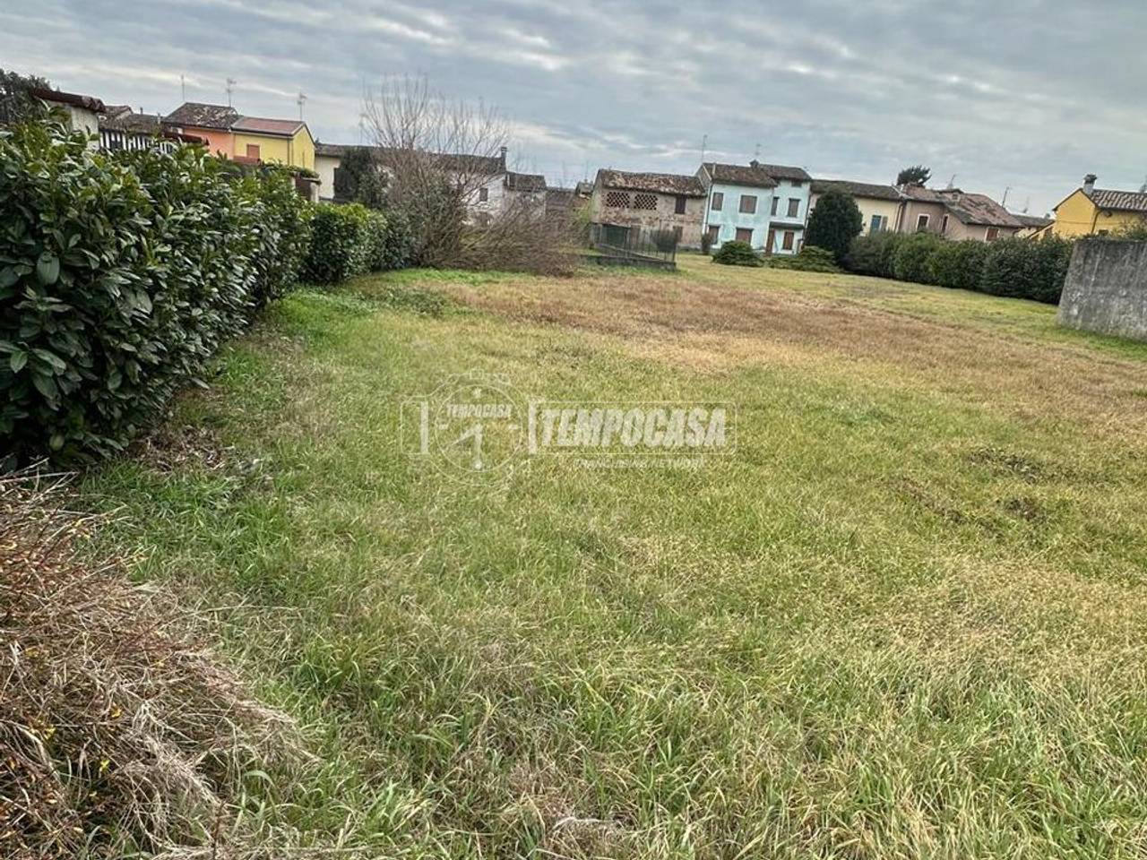 immagine annuncio 5 di 9