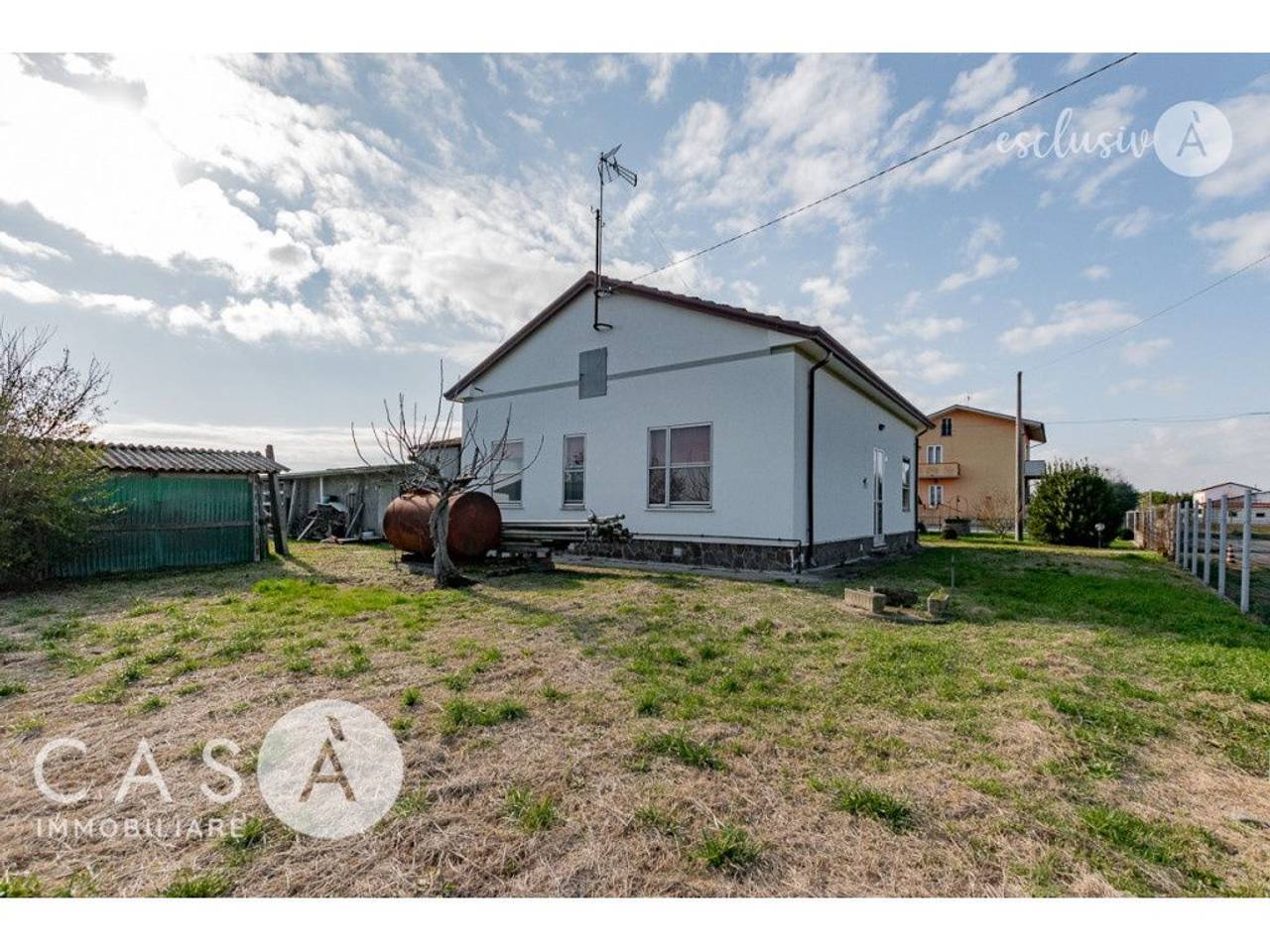 immagine annuncio 1 di 14