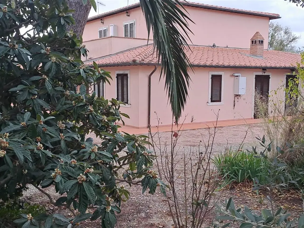 Podere - Tenuta in Scansano, Scansano, {3} - Foto 2