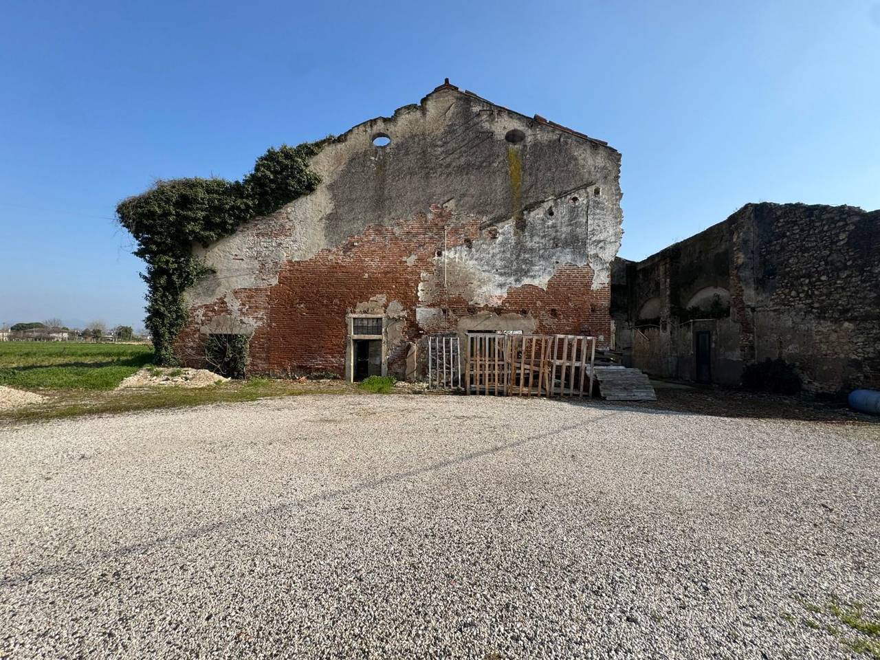 immagine annuncio 4 di 12