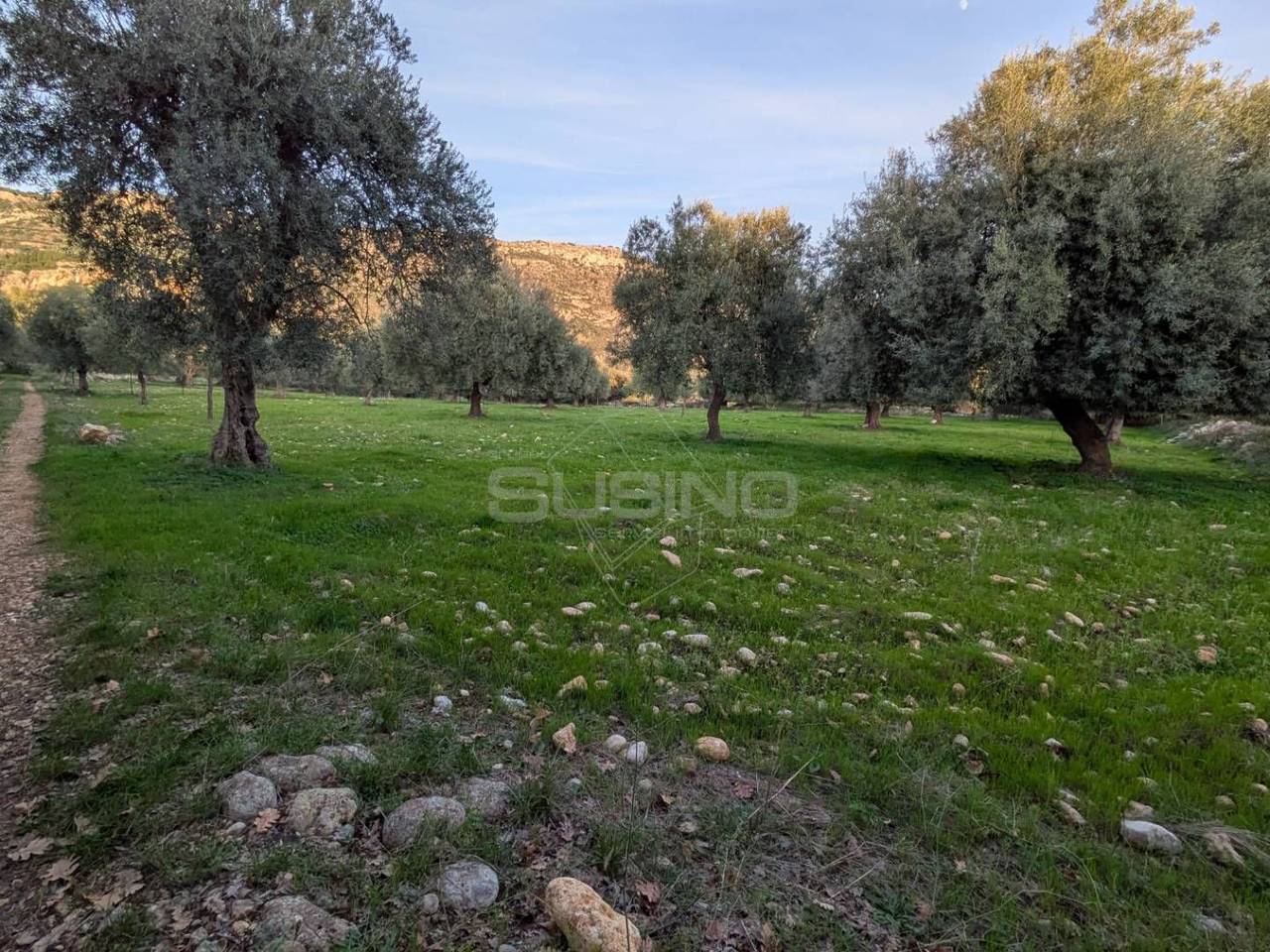 immagine annuncio 7 di 14