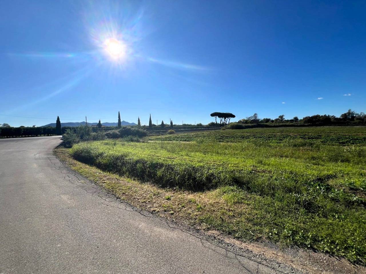 immagine annuncio 6 di 7