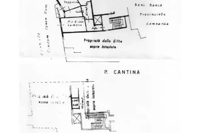 main planimetry real estate image