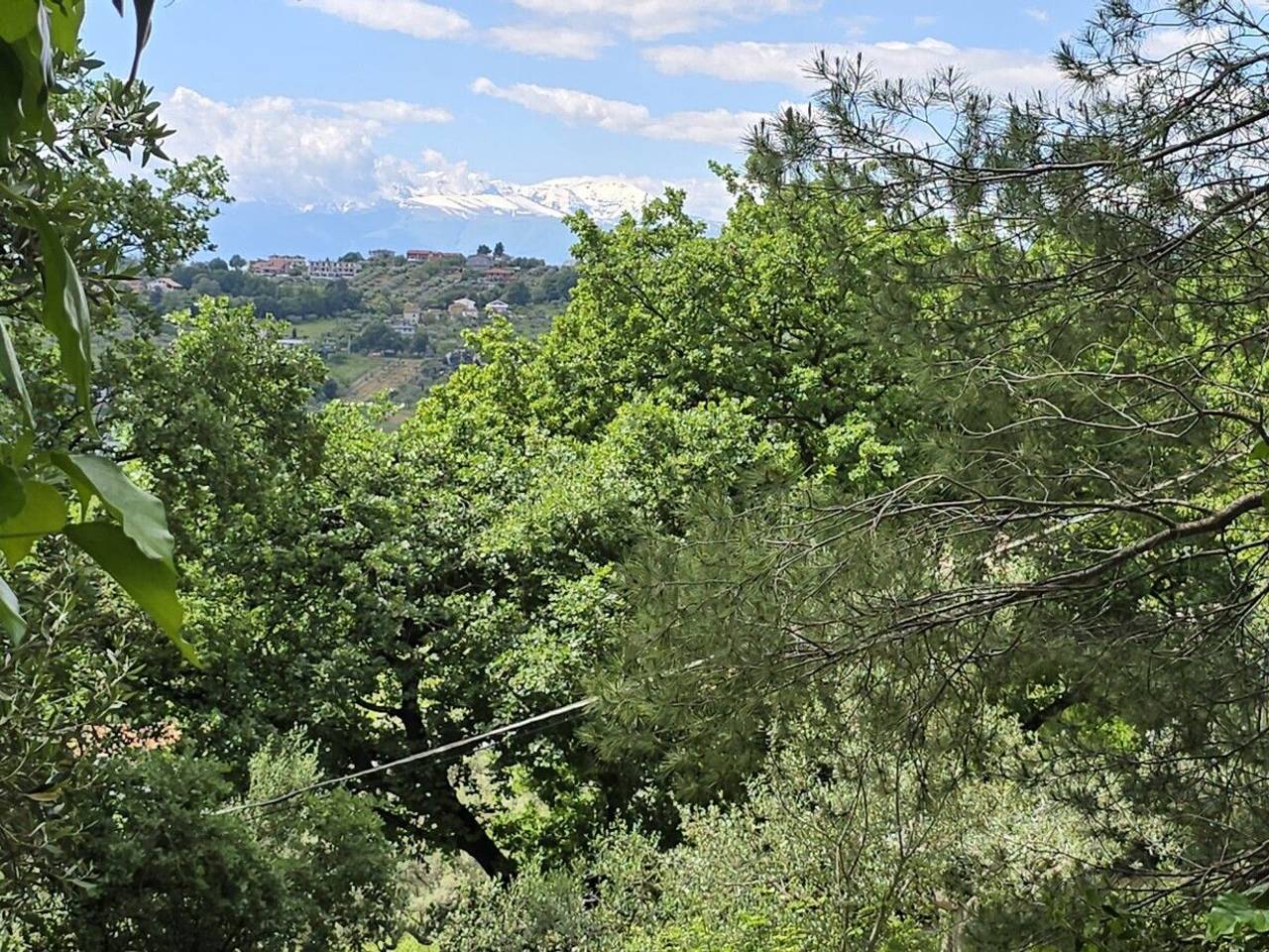 immagine annuncio 5 di 14