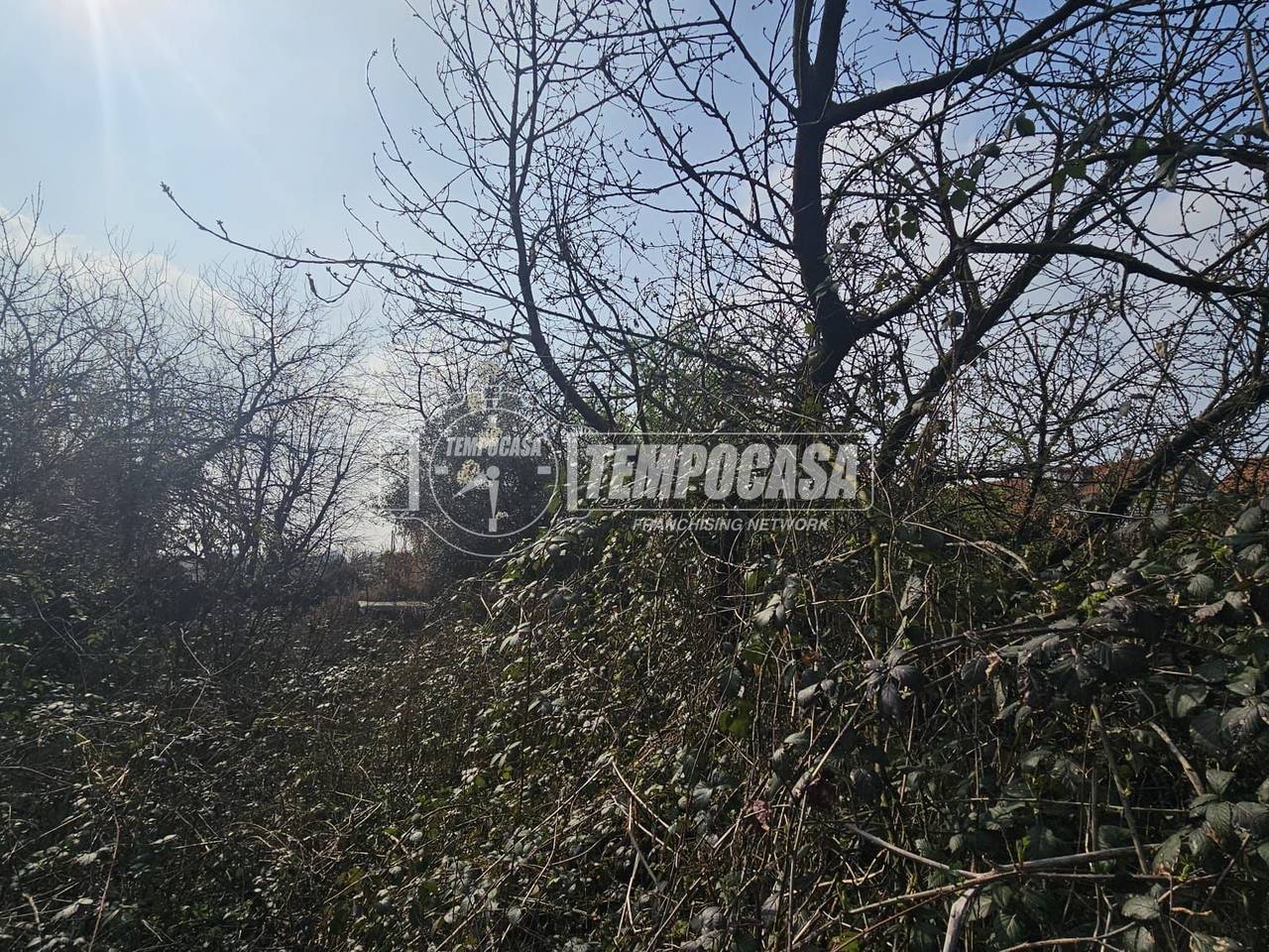 immagine annuncio 8 di 12