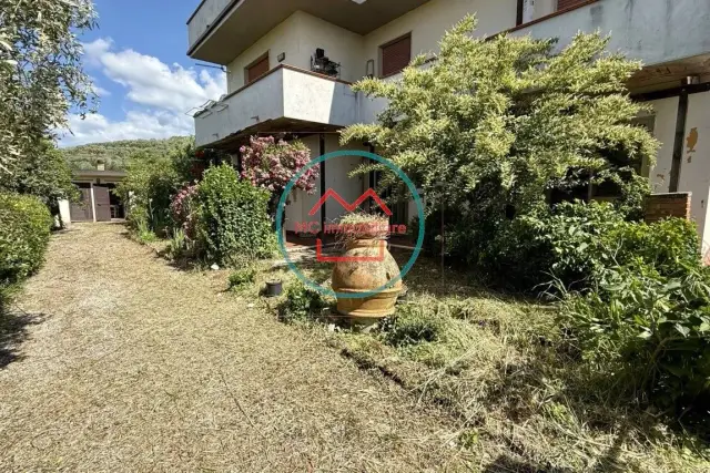 insertion image