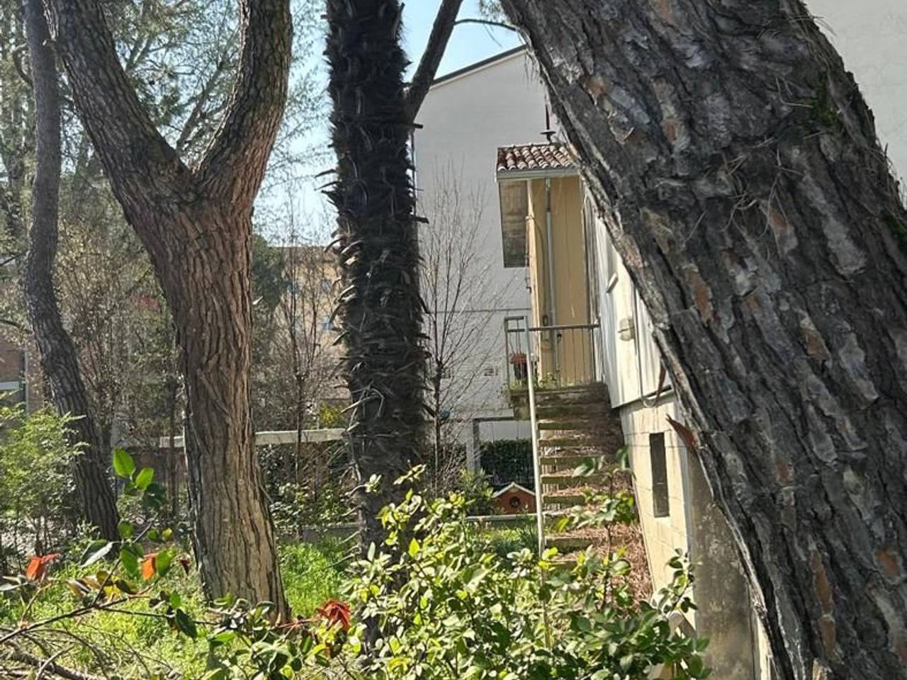 immagine annuncio 5 di 12
