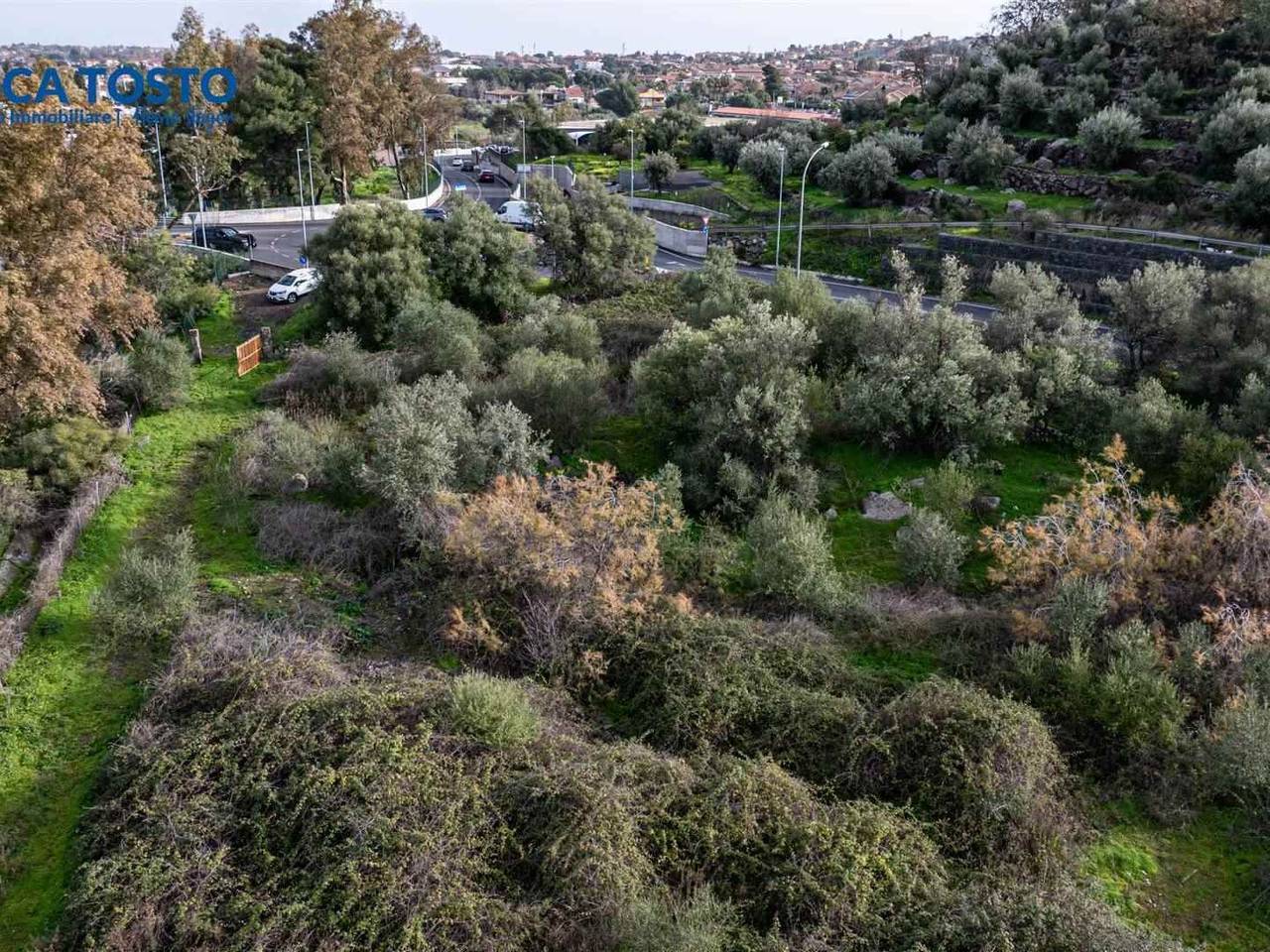 immagine annuncio 9 di 13