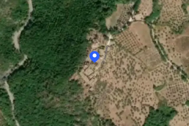 insertion image