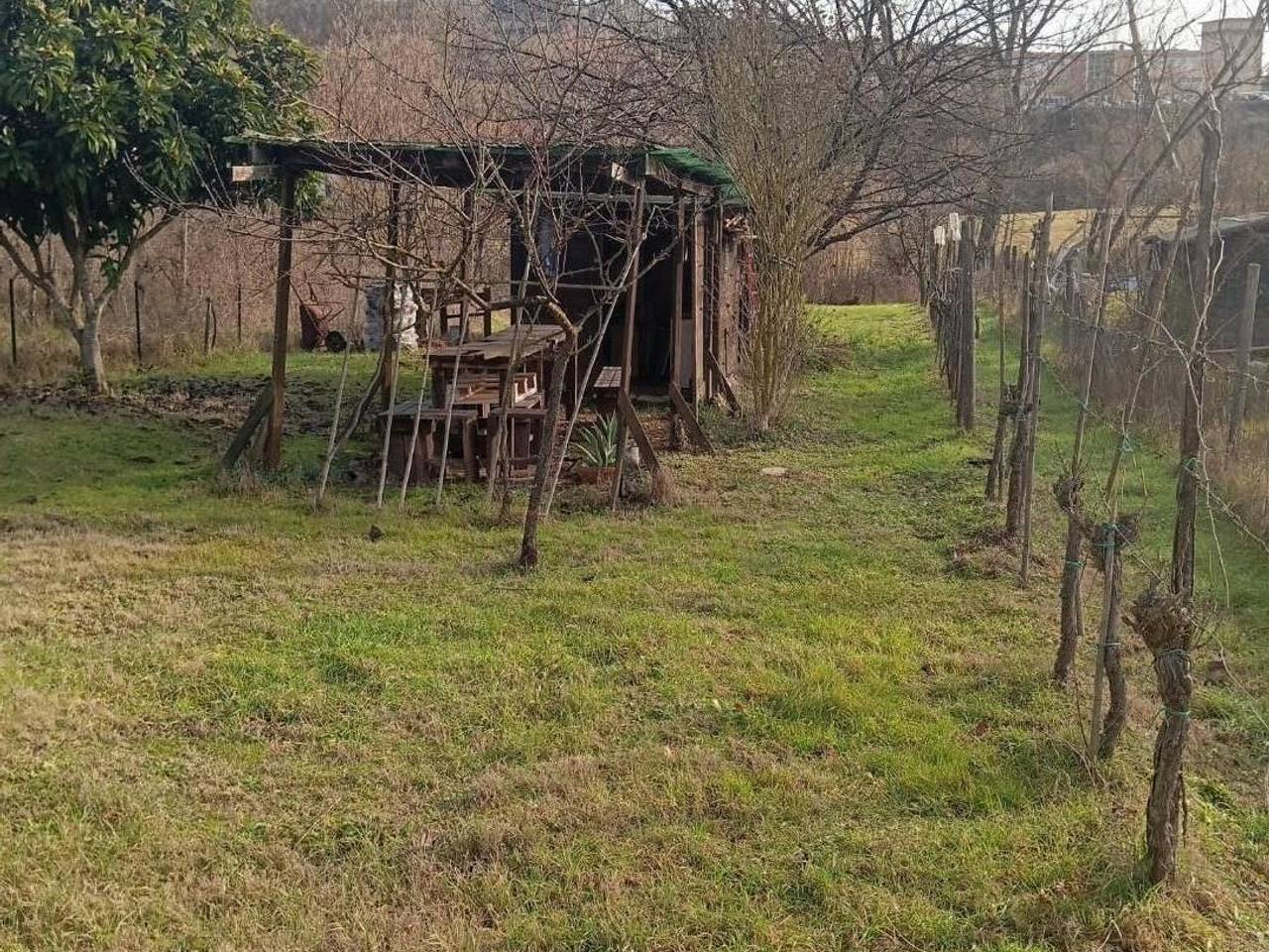 immagine annuncio 1 di 4