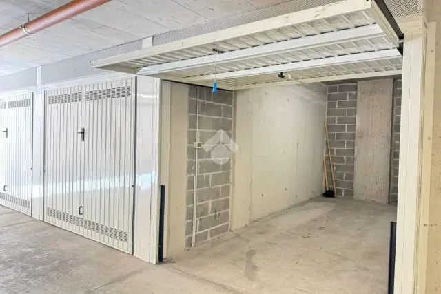 insertion image