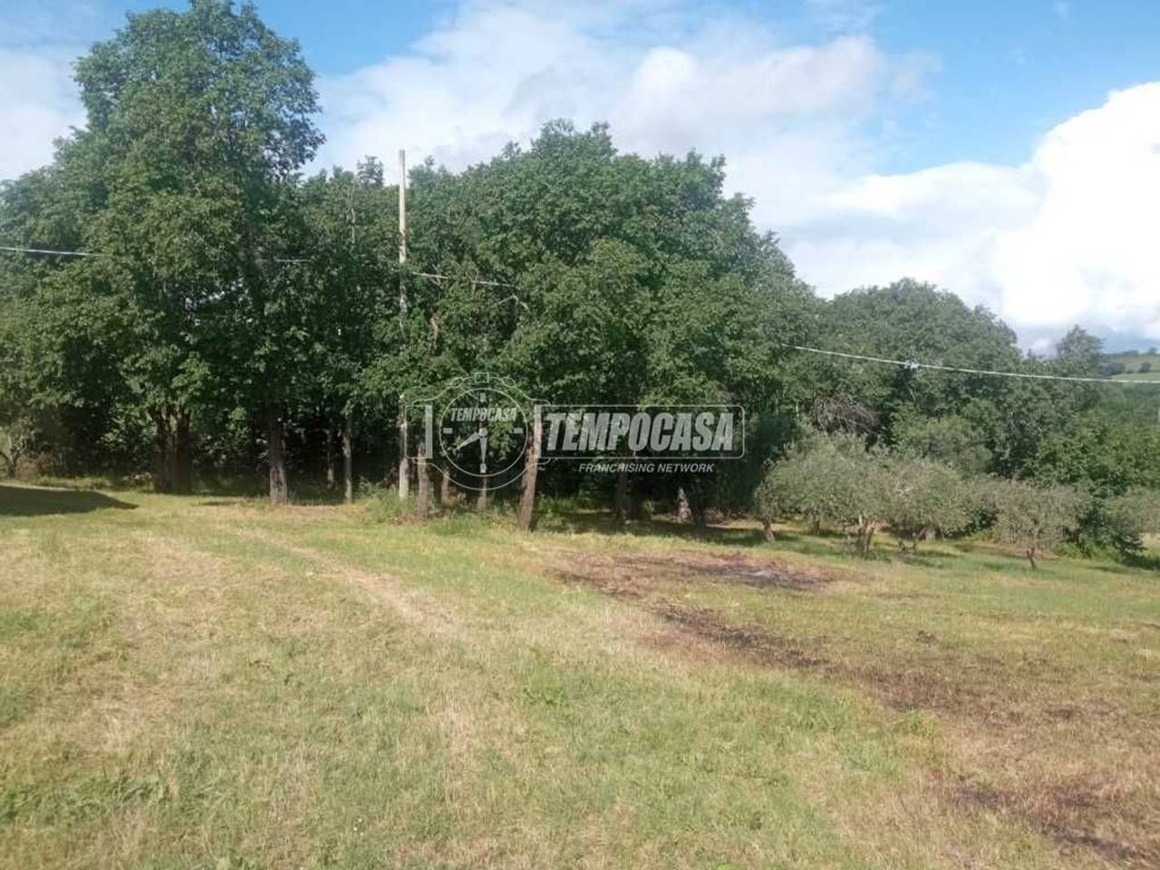 immagine annuncio 8 di 13