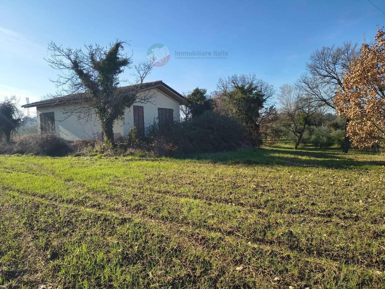 immagine annuncio 10 di 14