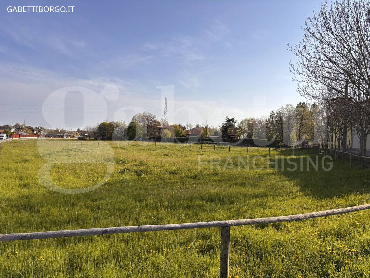 immagine annuncio 1 di 2