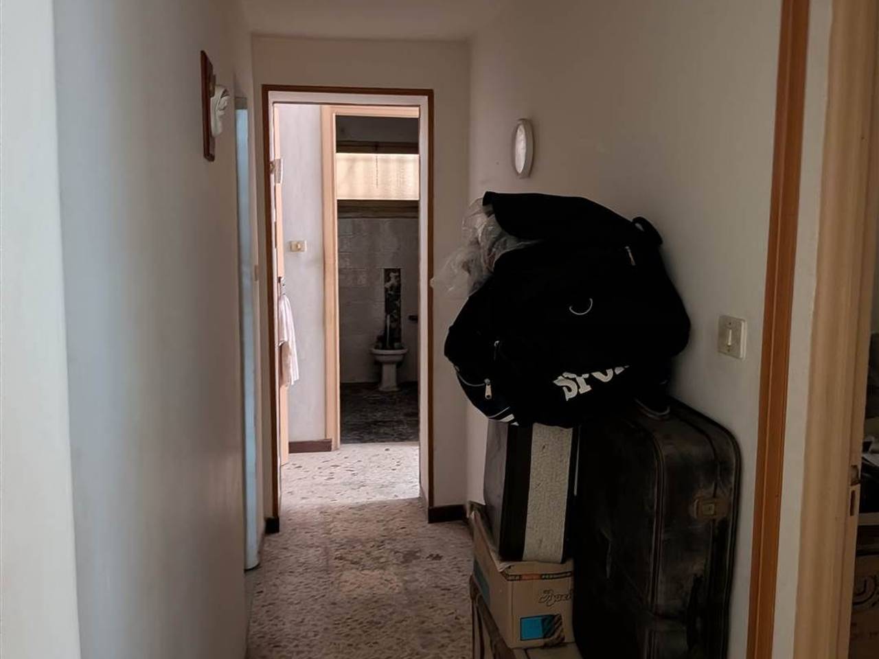 immagine annuncio 4 di 12