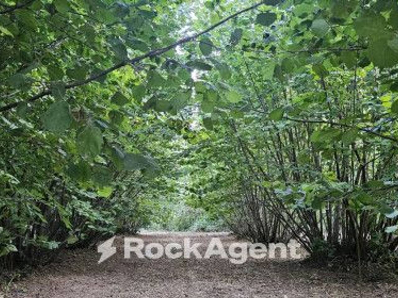 immagine annuncio 2 di 9