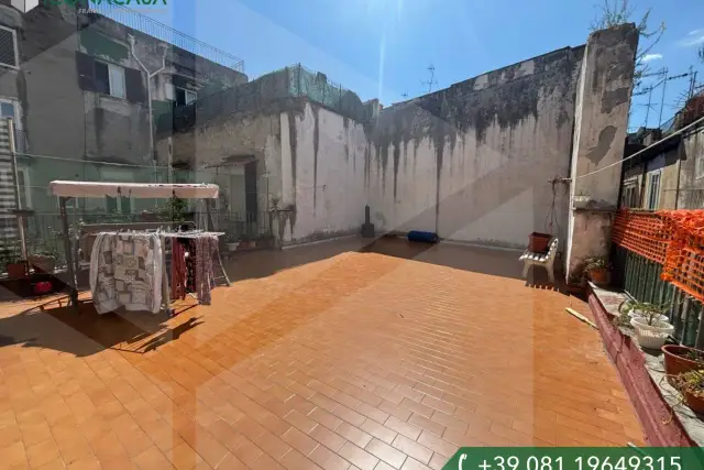 insertion image