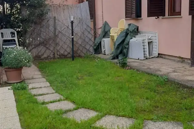 insertion image