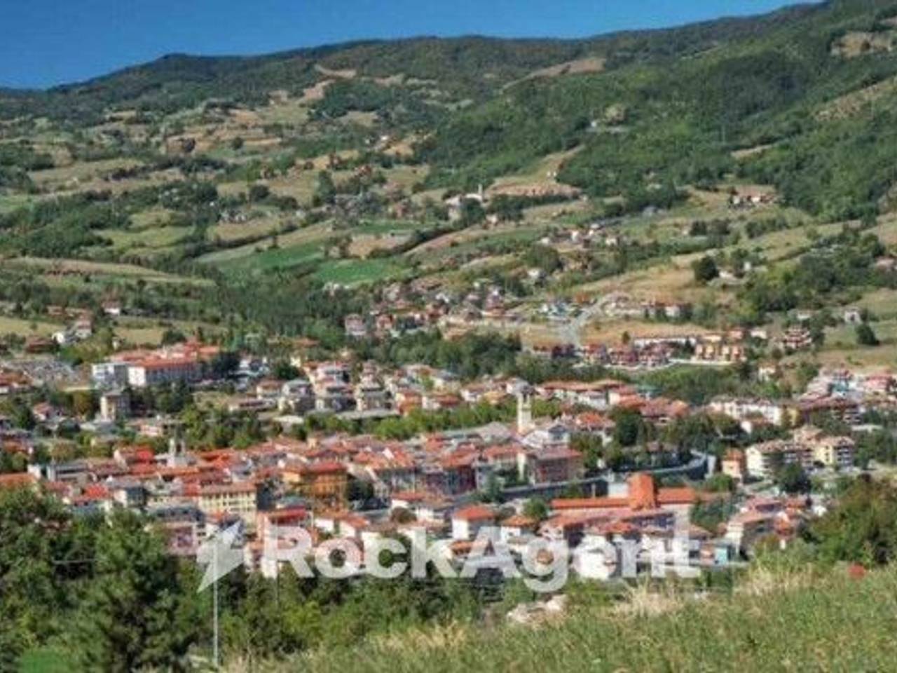 immagine annuncio 3 di 12