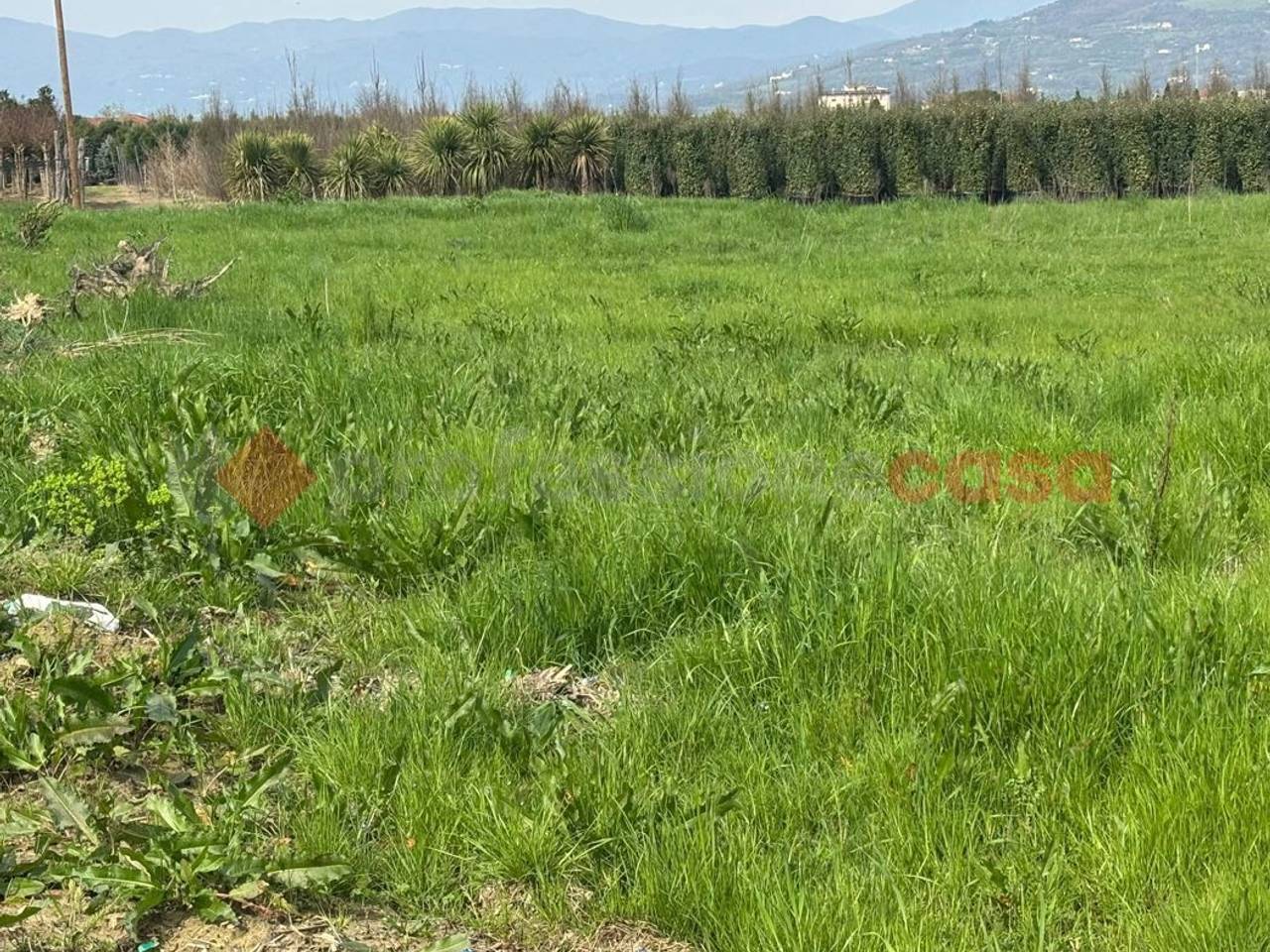 immagine annuncio 3 di 7