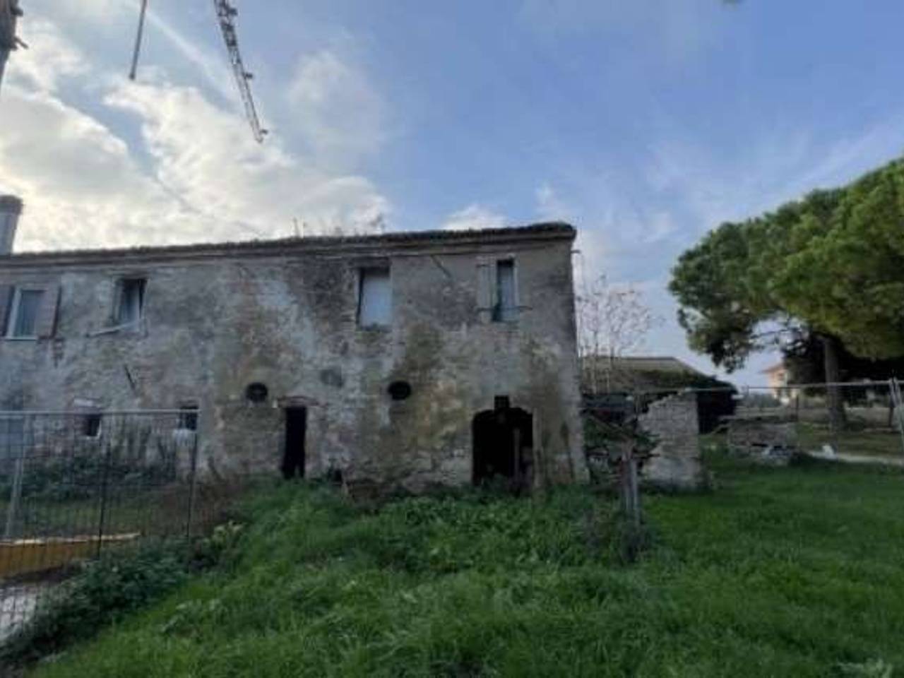 immagine annuncio 3 di 12