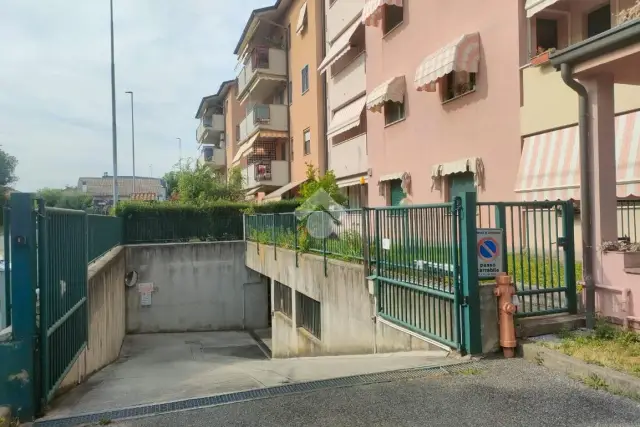 insertion image