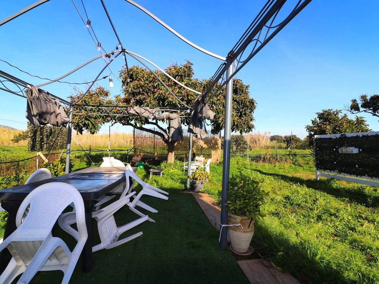 immagine annuncio 8 di 13