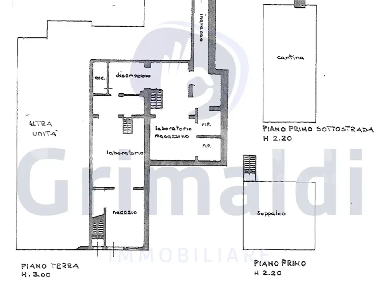 Negozio in Via Boccalerie, Padova, {3} - Planimetria 1