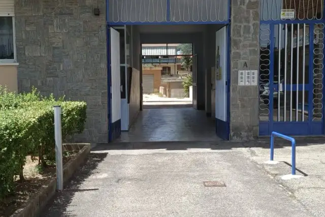 insertion image
