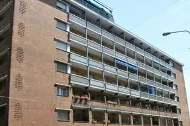 insertion image