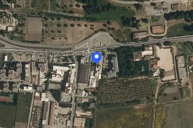 insertion image