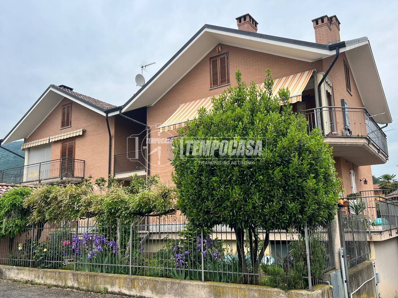 immagine annuncio 14 di 15