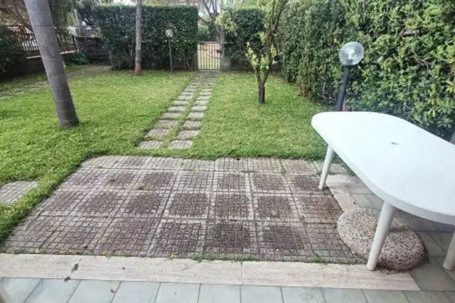 insertion image