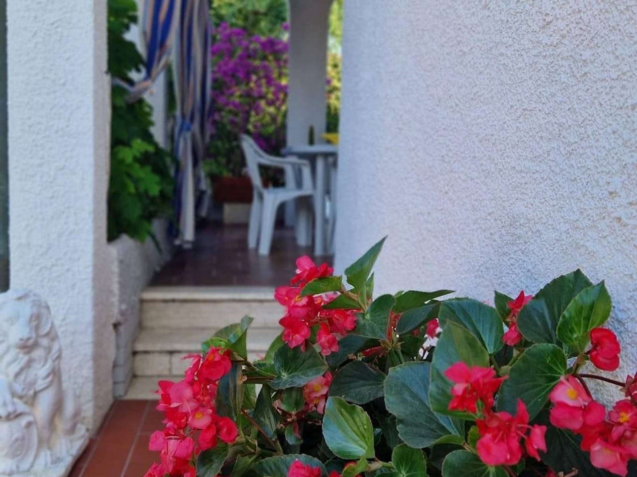 immagine annuncio 3 di 13