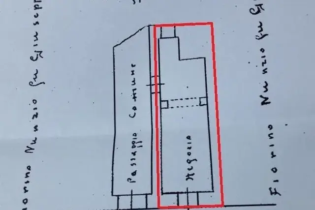 insertion image