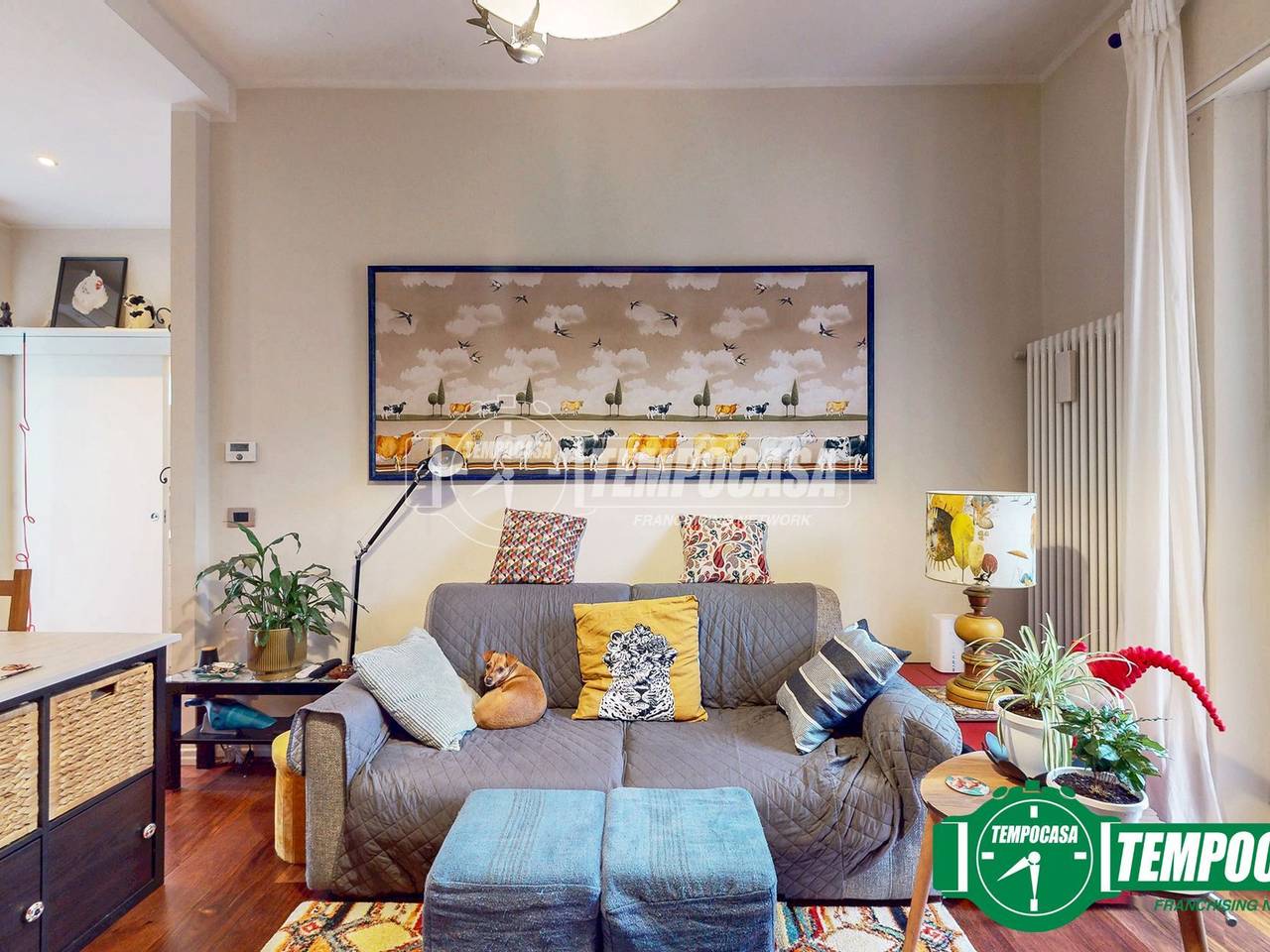 immagine annuncio 4 di 11