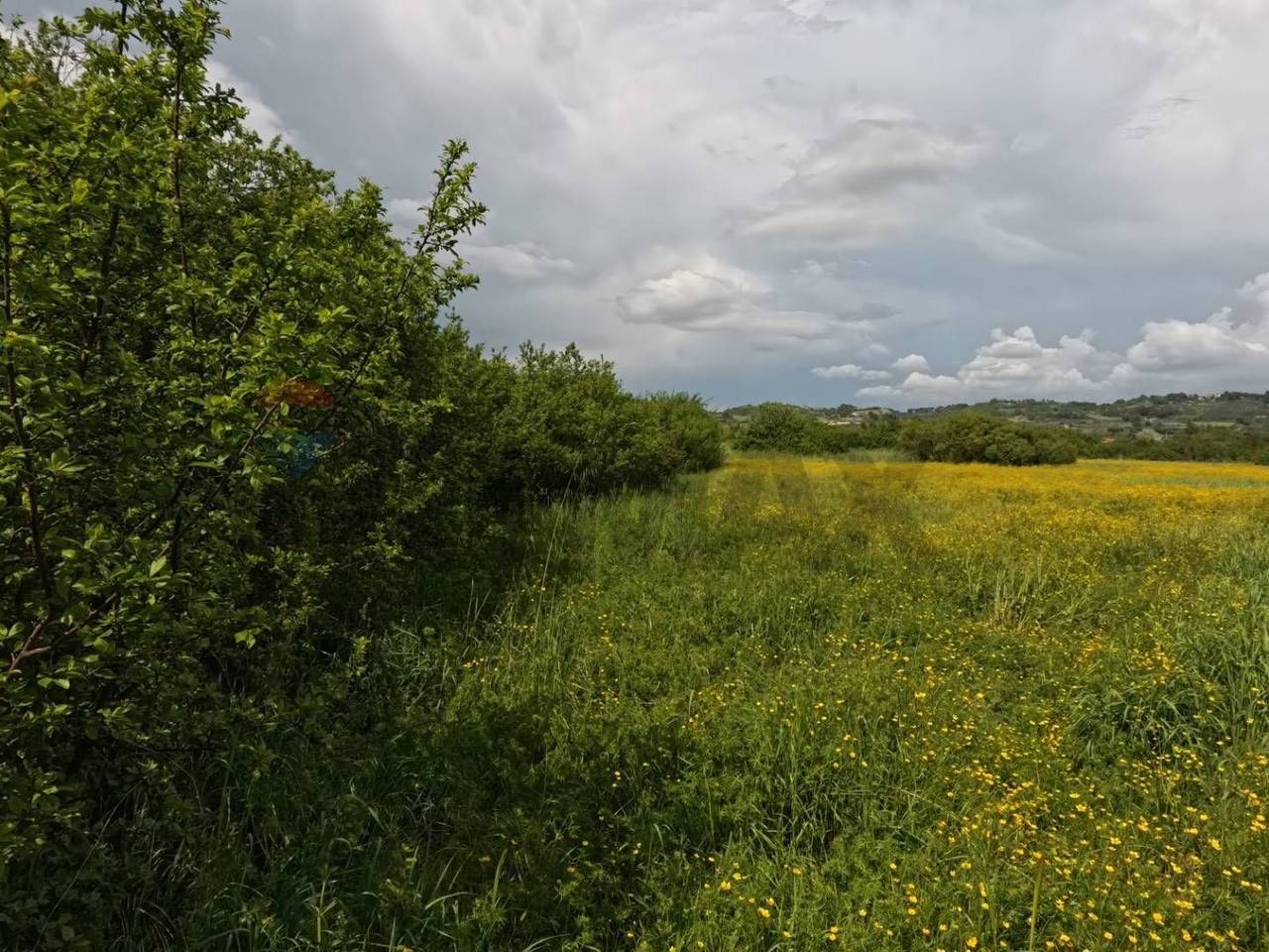 immagine annuncio 5 di 11