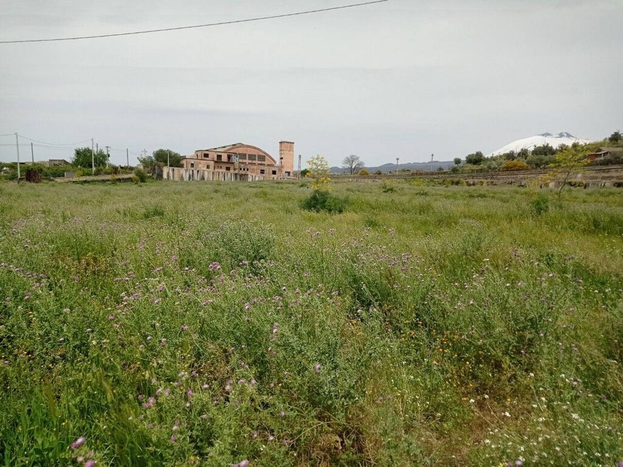 immagine annuncio 4 di 8