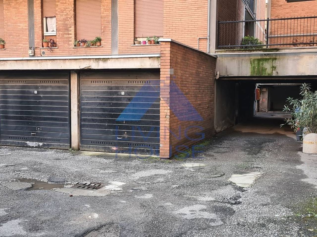 immagine annuncio 5 di 11