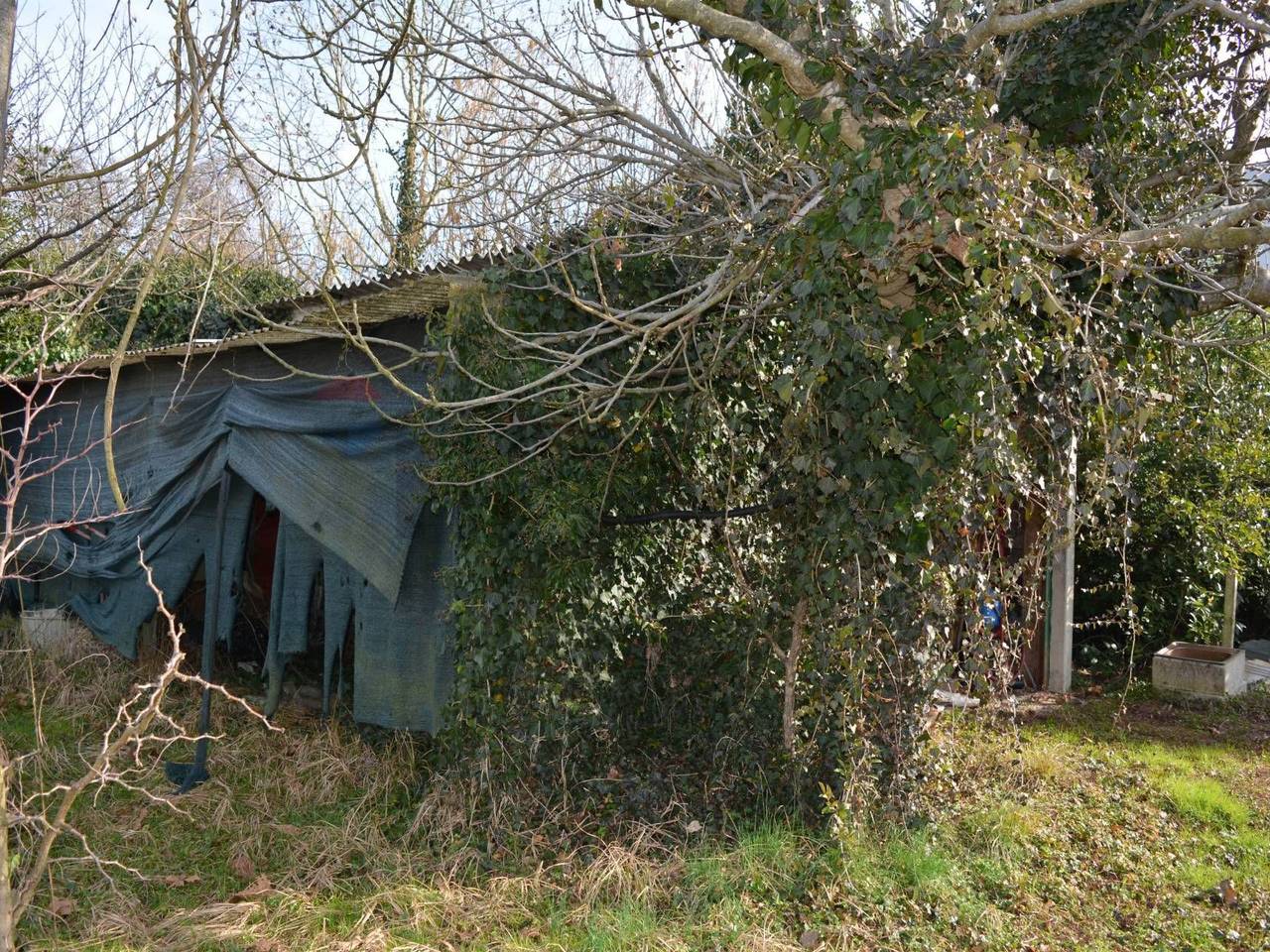 immagine annuncio 7 di 14