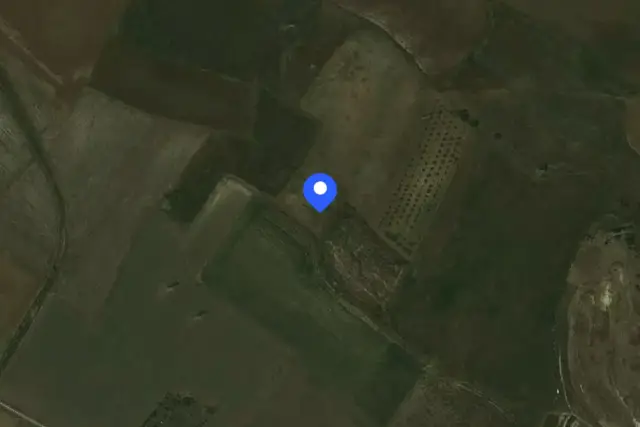 insertion image