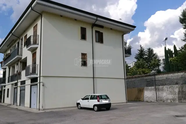 insertion image