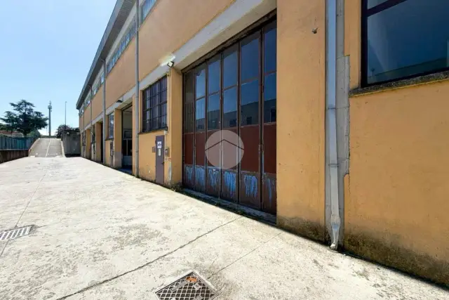 insertion image
