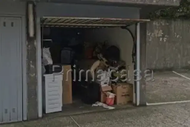 insertion image