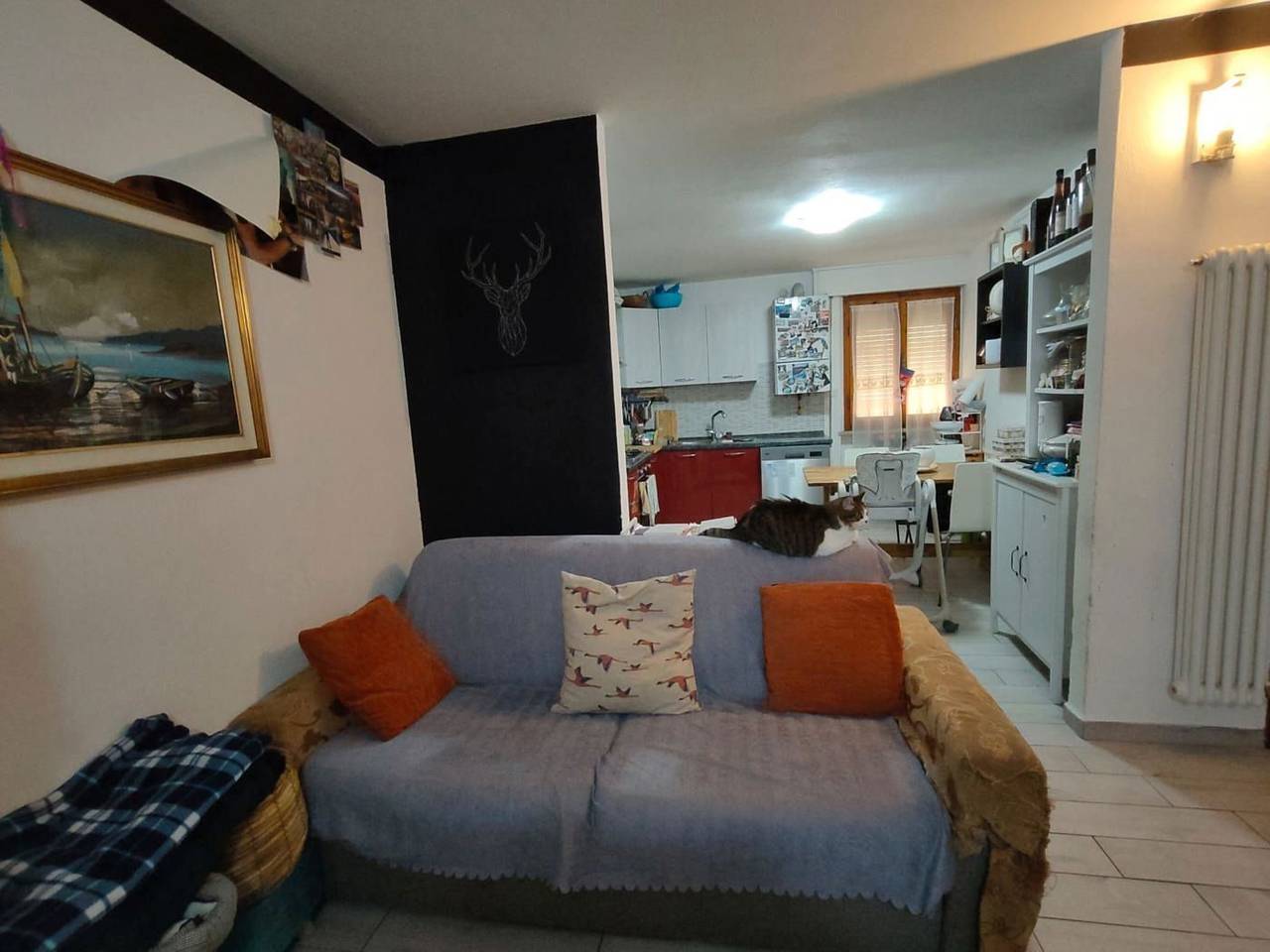 immagine annuncio 5 di 15